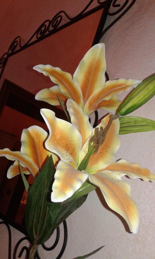 Bed and Breakfast Il Giglio D'Oro Arezzo Zewnętrze zdjęcie
